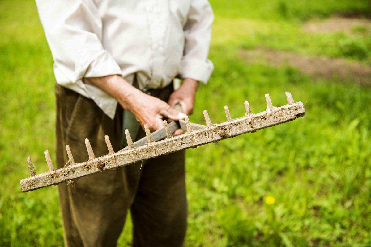 veliki penis farmer